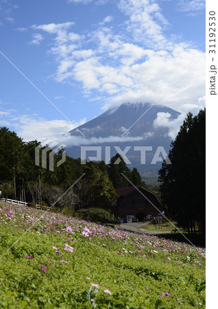 富士山と牧場 31192530