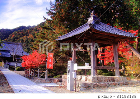 白毫寺（兵庫県　丹波市）境内の紅葉 31193138