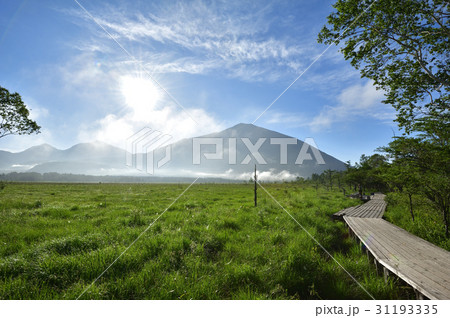 夏の戦場ヶ原 31193335