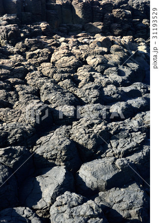 玄武岩 海沿い 沿岸 31193529