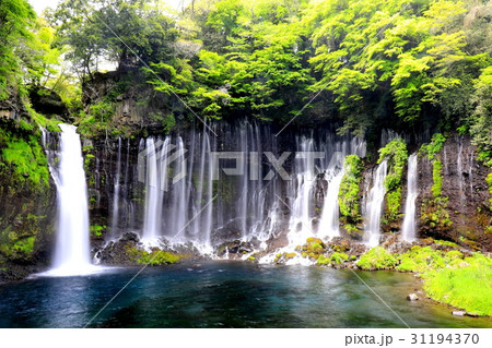新緑に囲まれた滝 新緑に囲まれた滝 31194370