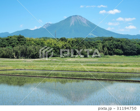 水田に映る逆さ大山　逆さ大山　 31194750