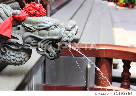 龍 竜 ドラゴン 31195364