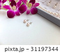真珠のピアス 31197344