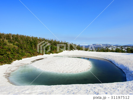 ドラゴンアイ 31197512