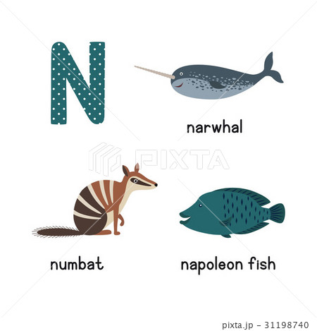 Letter N. Cartoon alphabet for children. vector 31198740