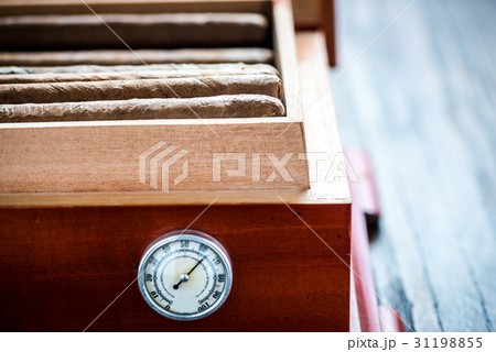 Close view on cedar wood humidor with cigars 31198855