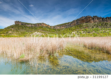 Mountains reflection in lake with grass 31199127
