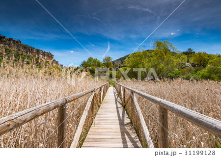 Wooden footpath in grassland over lake Una,Spain 31199128