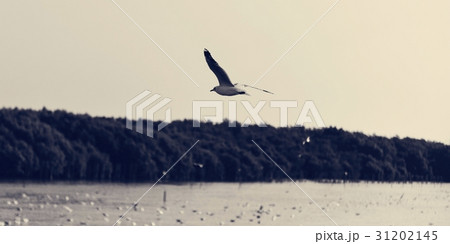 Beauty Nature Outdoors Outside Sunlight 31202145