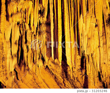 黄色 イエロー 岩 31203246