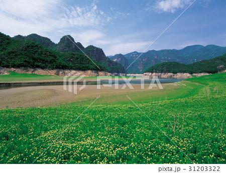 丹陽郡 自然 忠清北道 31203322