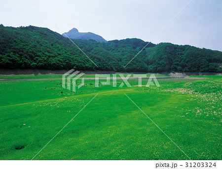 国立公園 木 山 31203324