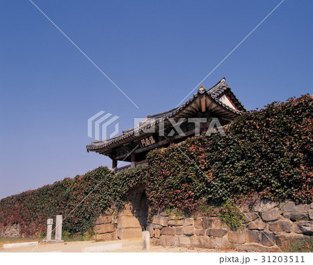 古建築 ツタ 西山ヘミウプ性 31203511