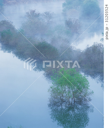 大清湖 反射 反影 31203524