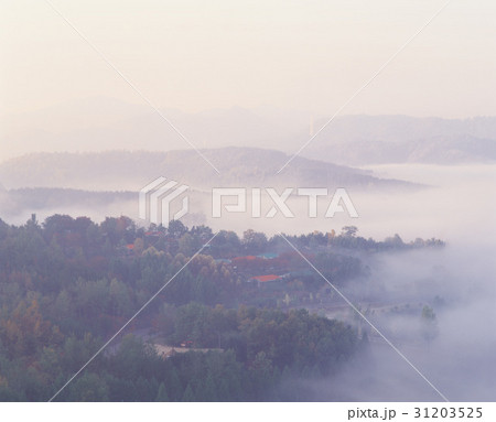 秋 山 忠清北道 31203525