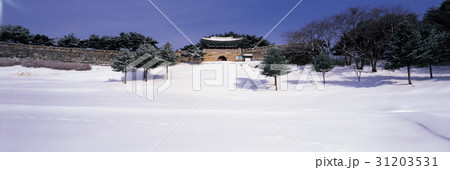 古建築 城壁 清酒相当酸 31203531
