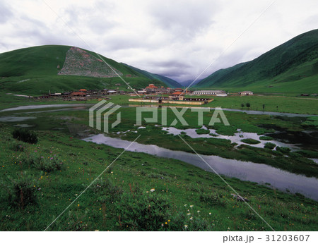 村 四川省 湿地 31203607