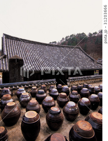 大源寺 かめ つぼ 31203666