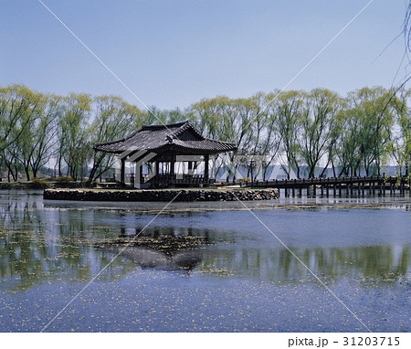 木 私的 忠南 31203715