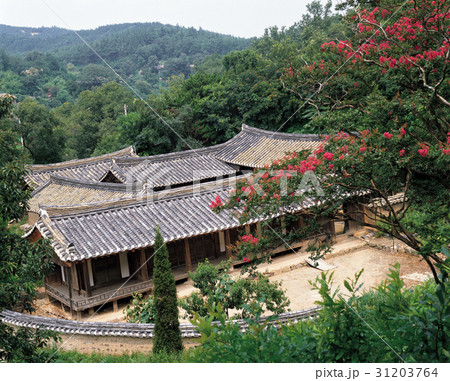 古建築 瓦屋 良洞民俗村 31203764