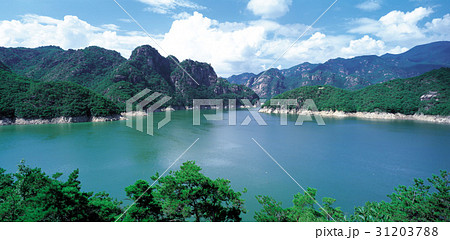 グダムボン 丹陽郡 自然 31203788