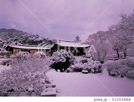 古宅 瓦屋 雪景色 31203888