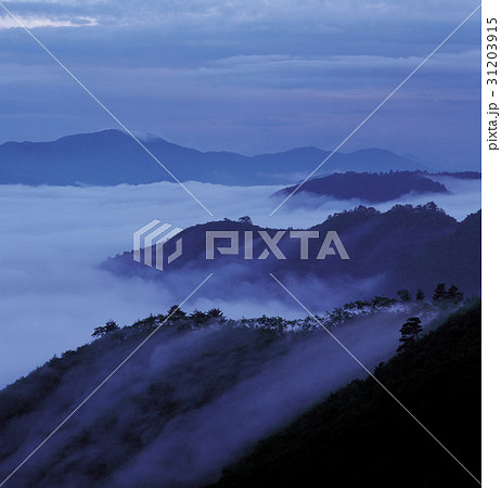 江原道 雲 木 31203915