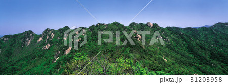 山 パノラマ 風景 31203958