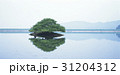 槐山郡 木 反射 31204312
