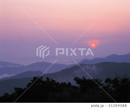 京畿道 キョンギド 霧 31204388