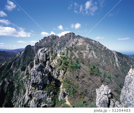 金剛山 岩 石 31204483
