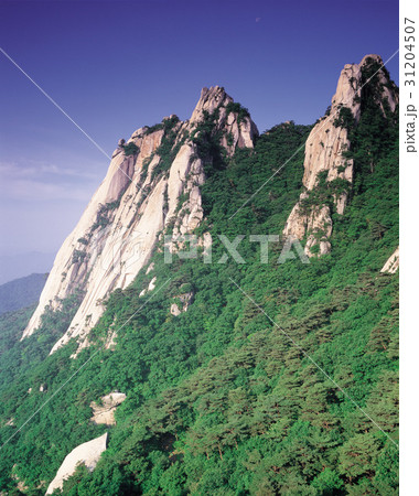 道峰山 ソウル 自然 31204507