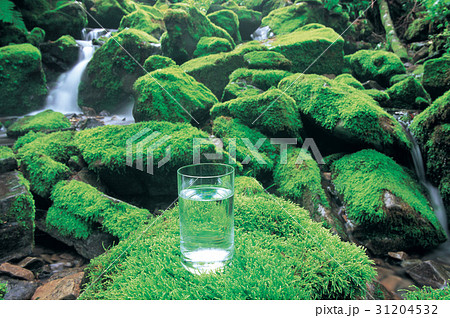 谷 緑 緑色 31204532