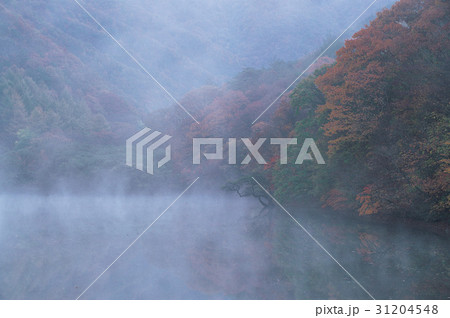 ブドンミョン 霧 主産地 31204548