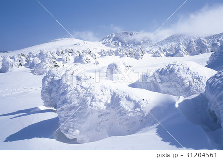冬 山 雪景色 31204561