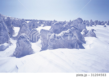 冬 山 雪景色 31204563