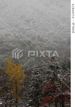 江原道 冬 雪岳山 31204874