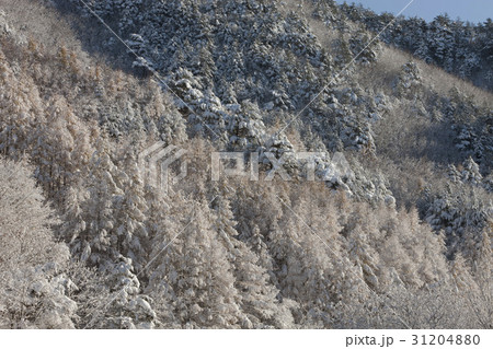 国立公園 雪岳山 束草市 31204880