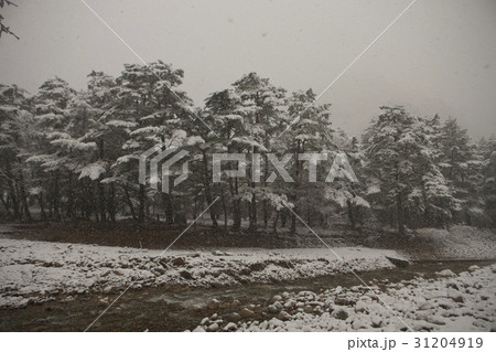 冬 谷 雪景色 31204919