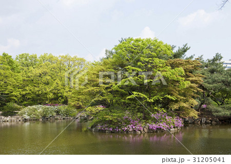 木 春 池 31205041