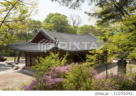 ソウル 鍾路区 昌慶宮 31205042