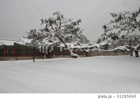 宝物 ソウル 昌徳宮 31205045