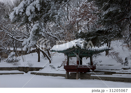 冬 ソウル エリョンジョン 31205067