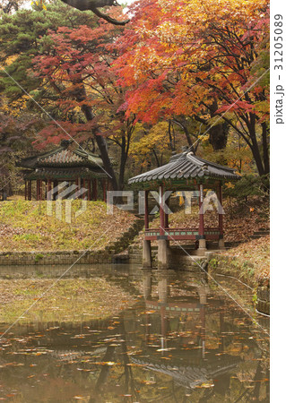 秋 グァンラムジョン ソウル 31205089