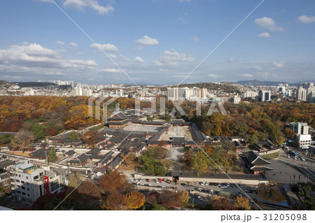 紅葉 ソウル 屋外 31205098