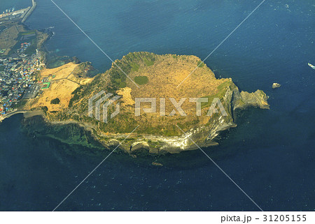 海 城山日出峰 自然 31205155