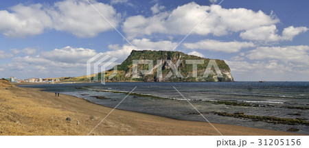 城山日出峰 自然 済州島 31205156