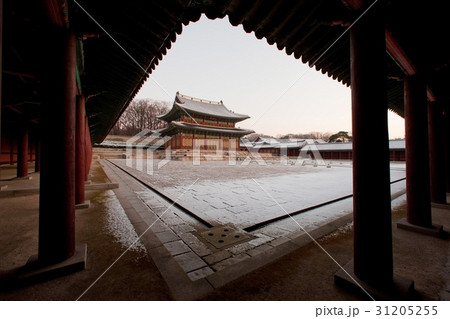 冬 ソウル 昌徳宮 31205255