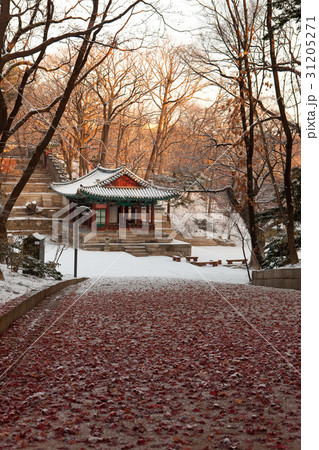 悲願 ソウル 映画ごとに 31205271